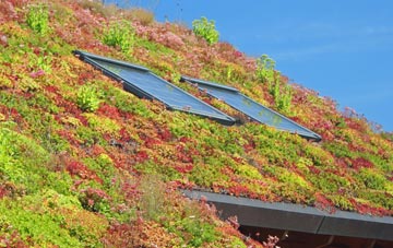 Nether Silton living roof systems