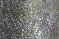 Nether Silton fibreglass roof work